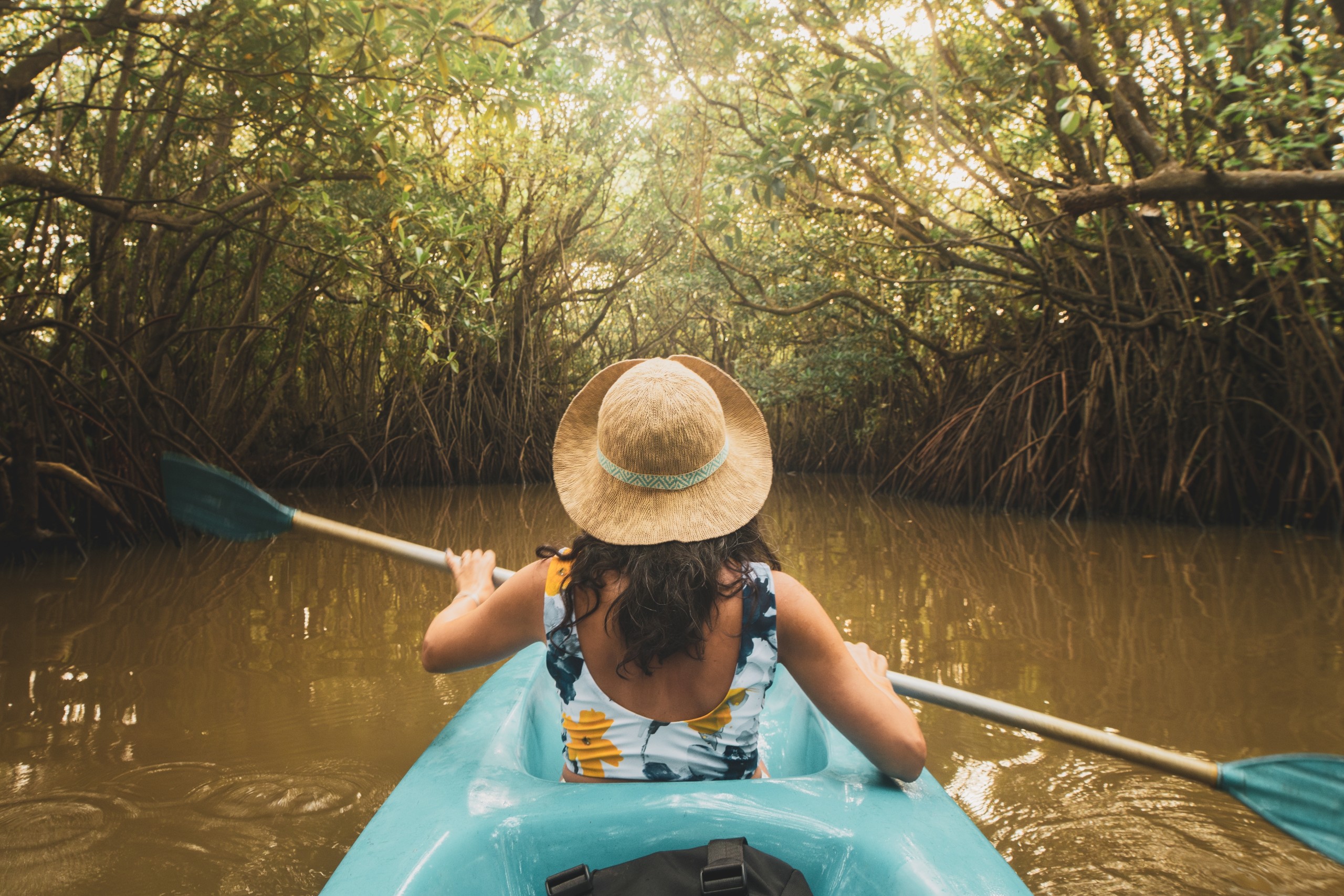 Kayaking & Water Activities